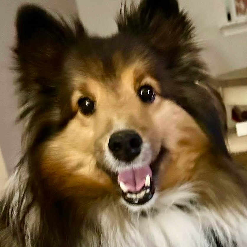Oliver
