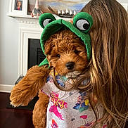 Rocky joined the competition — help win amazing prizes! puppy, dog, costume, frog_hat, child, person, long_hair, indoor, fireplace, painting, wall_art, colorful_shirt, cute, pet, holding, portrait, furry, animal, home, cozy