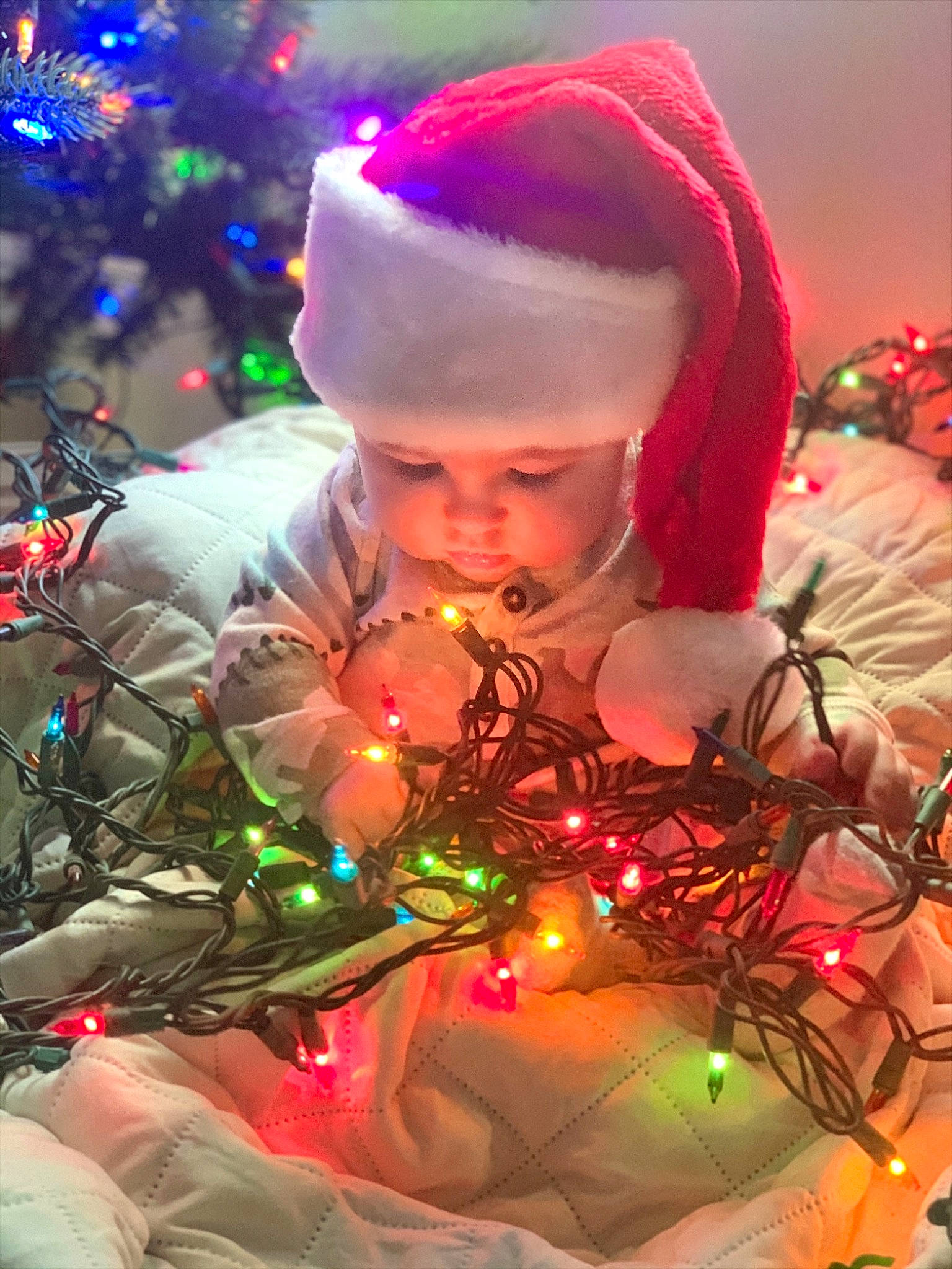 Jimmy is registered to the contest to win money with this photo: christmas, christmas_decoration, christmas_eve, christmas_lights, christmas_ornament, christmas_tree, conifer, costume_accessory, costume_hat, event, fictional_character, headwear, holiday, holiday_ornament, human, light, ornament, party_supply, person, pine_family