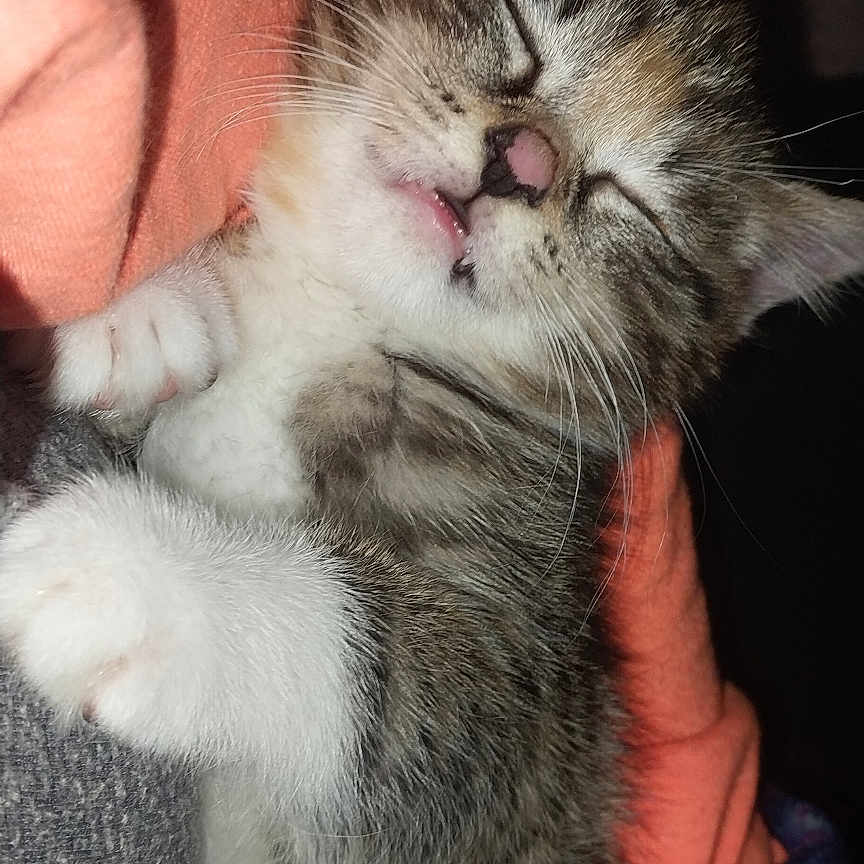 Stormi