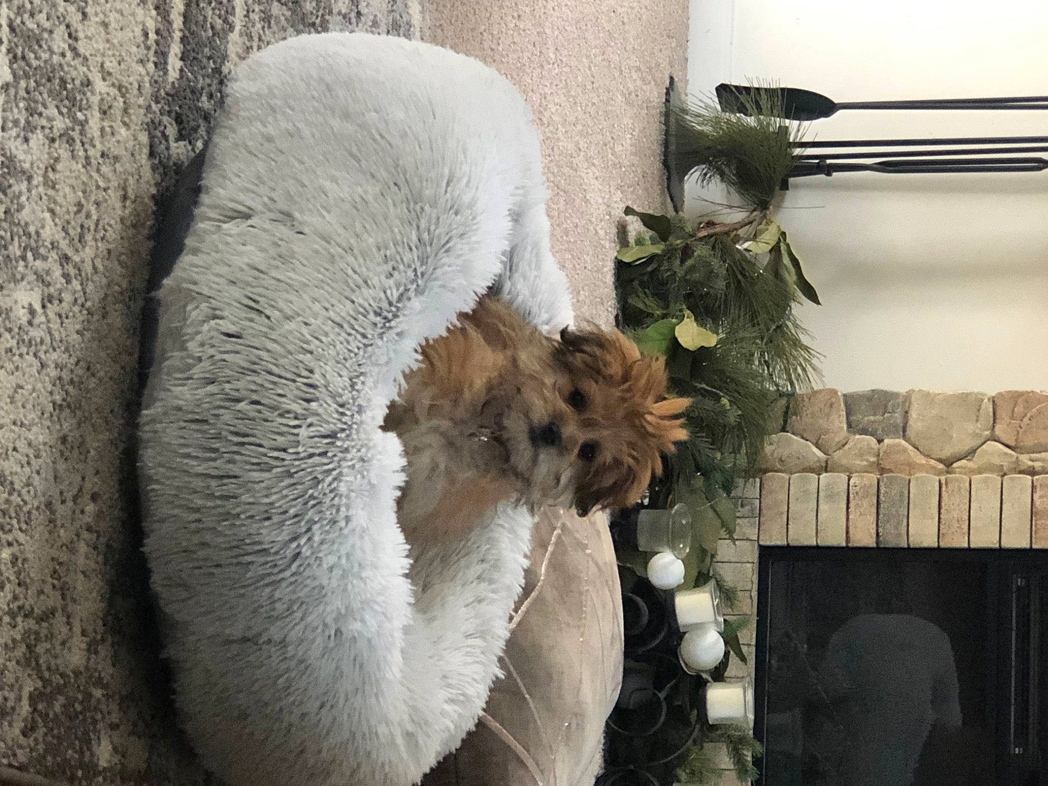 Fiona
