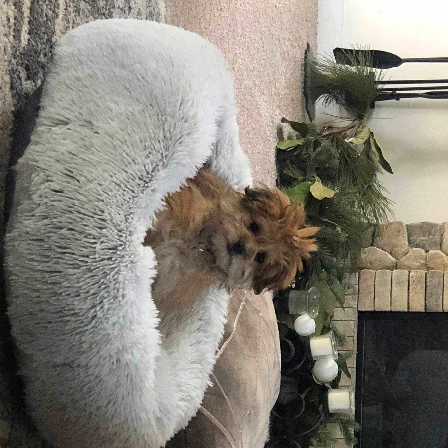 Fiona