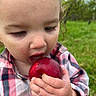 biting, child, close_up, daylight, eating, face, fruit, garden, grass, greenery, hands, happy, natural_light, outdoor, plaid_shirt, plum, portrait, rural, shirt, toddler