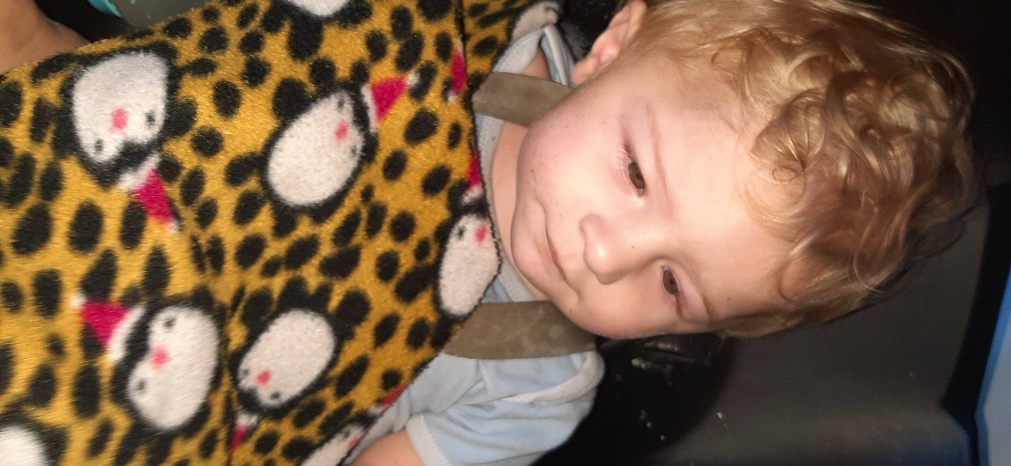 Morgan participe au concours pour gagner de l'argent avec cette photo : baby, baby_toddler_clothing, cheek, ear, eye, eyelash, facial_expression, fawn, finger, fun, head, headgear, human_body, mammal, nose, organ, person, skin, toddler, toy