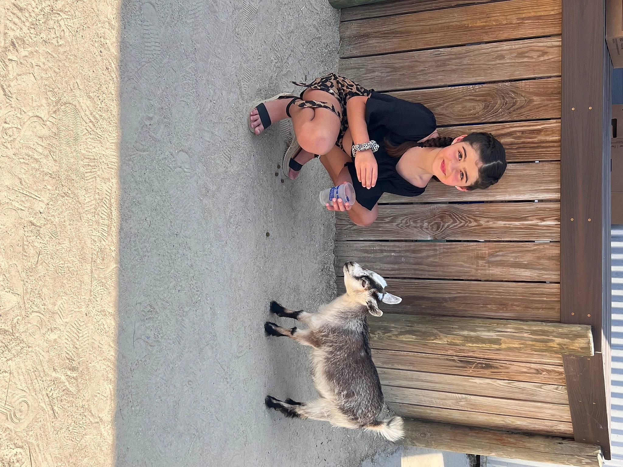 Madeline joined the competition — help win amazing prizes! asphalt, carnivore, concrete, eyewear, felidae, fur, grey, hardwood, human_leg, joy, person, recreation, road, road_surface, shadow, shorts, sidewalk, street, sunglasses, tail