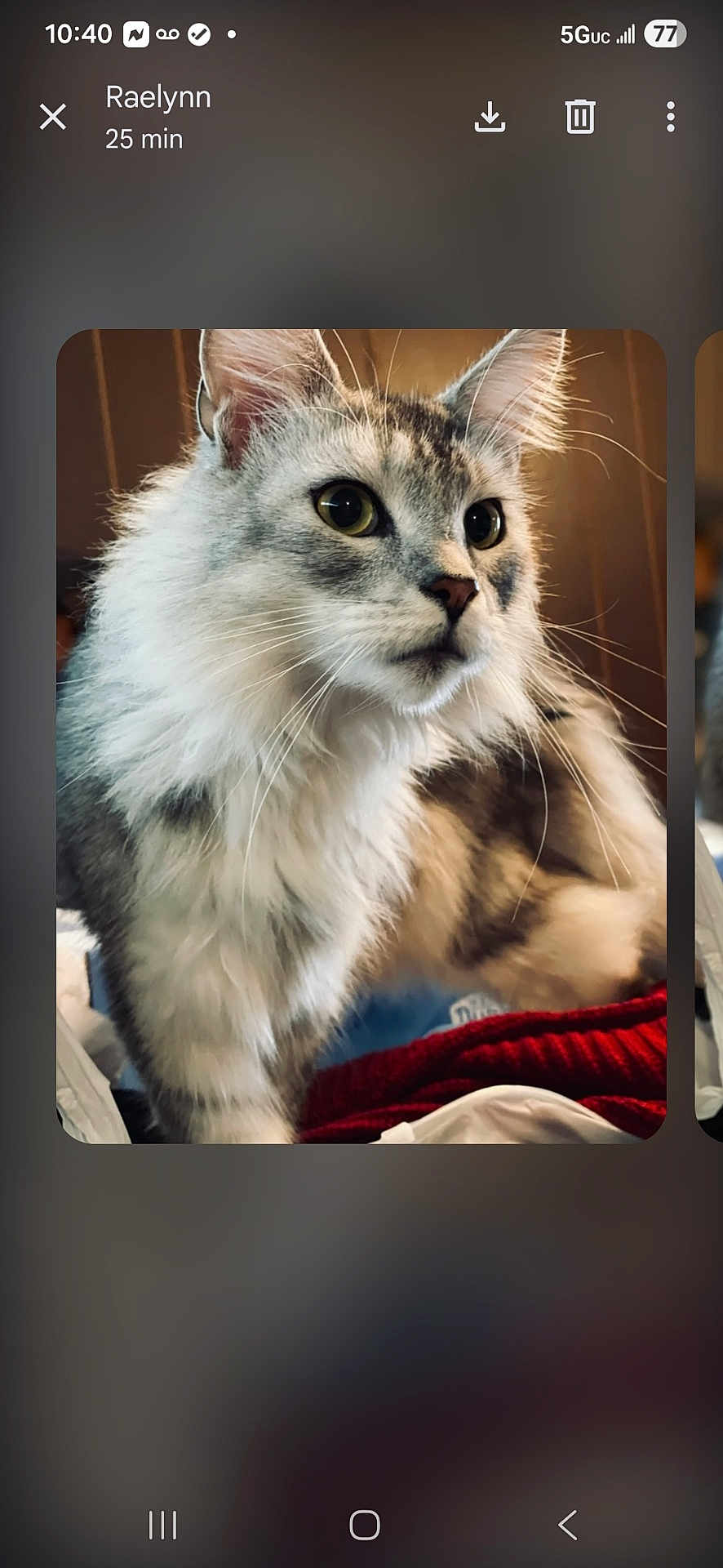 Apollo