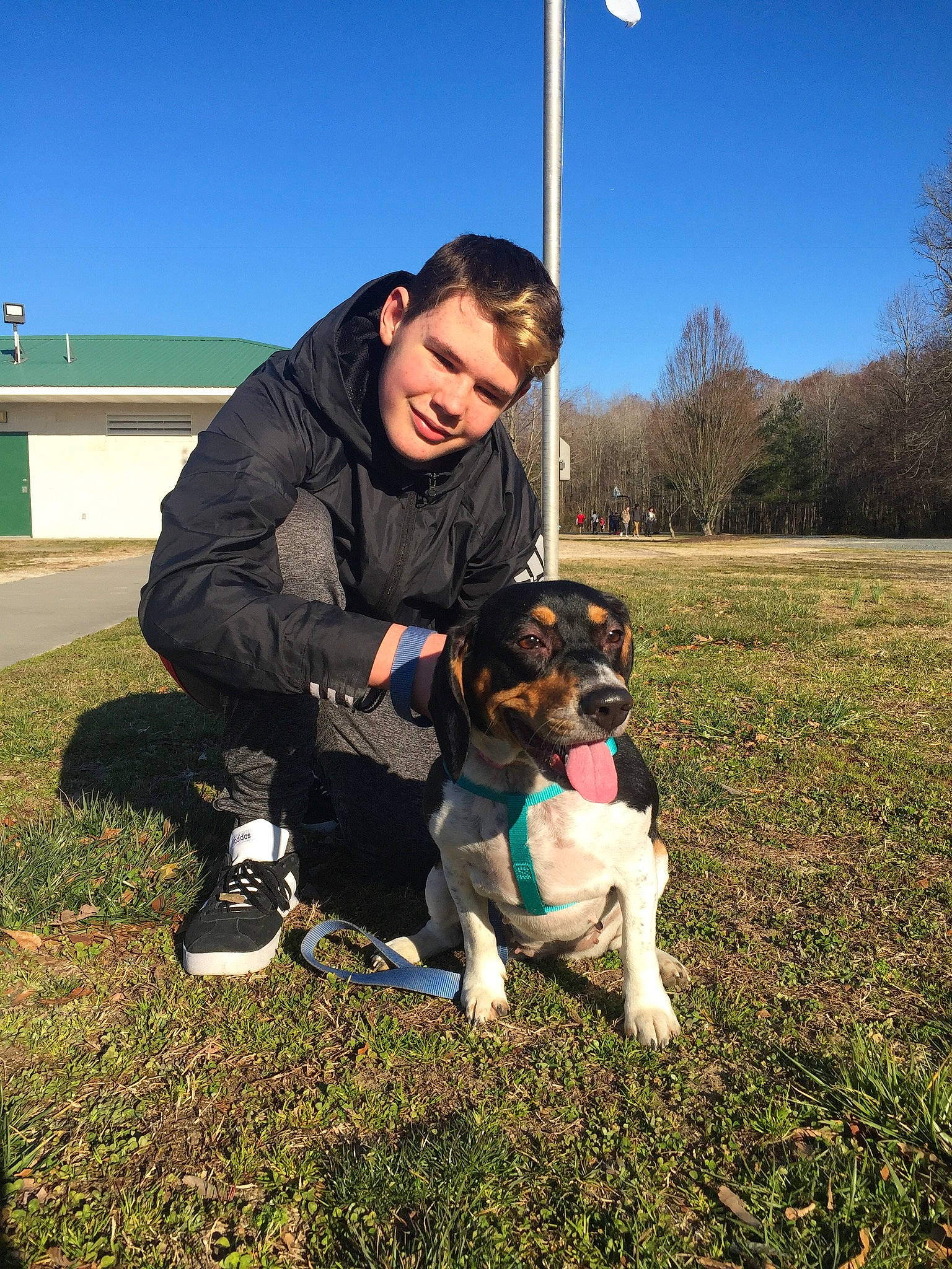 Jezebel is registered to the contest to win money with this photo: adventure, canidae, carnivore, companion_dog, danish_swedish_farmdog, dog, dog_breed, field_trial, grass, hunting_dog, mammal, obedience_training, sporting_group, vertebrate