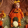 baby, infant, pumpkin_costume, orange_clothing, headband, flowers, autumn, decorative_pebbles, fall_decor, cute, festive, sitting, indoors, portrait, holiday, seasonal, costume, child, holiday_theme, curious