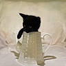 black_kitten, teapot, ceramic, cute, pet, animal, curious, indoor, white_background, small, feline, playful, kitten_paw, domestic_animal, adorable, soft_light, still_life, isolated, closeup, cute_pet