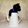 kitten, black_cat, teapot, blue_collar, curious, pet, indoor, cute, small, animal, feline, soft, cozy, couch, white, porcelain, domestic, side_view, resting, playful