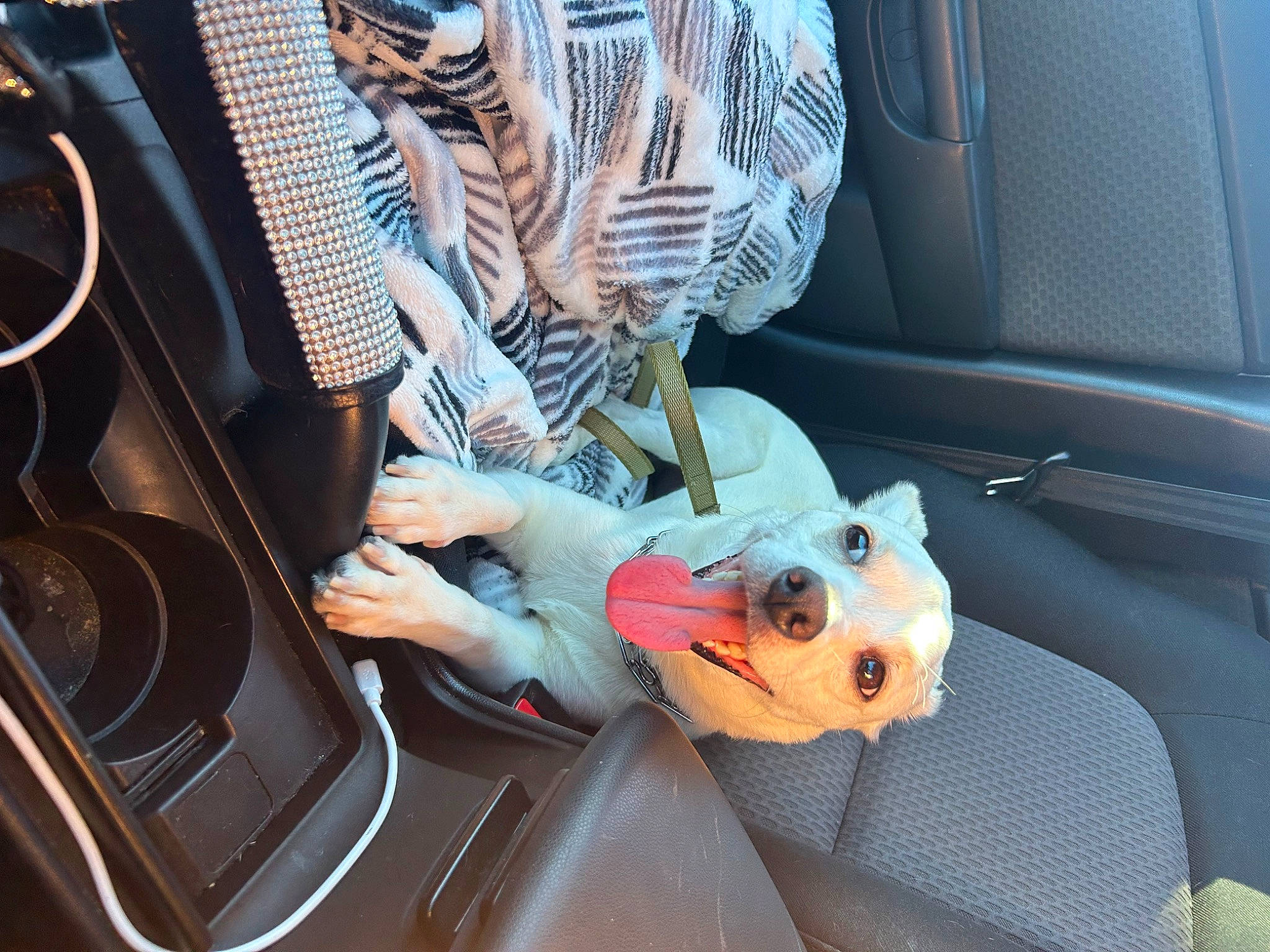 Migo joined the competition — help win amazing prizes! audio_equipment, auto_part, automotive_design, automotive_exterior, automotive_lighting, automotive_tire, automotive_wheel_system, bumper, car, car_seat, family_car, hood, luxury_vehicle, motor_vehicle, personal_luxury_car, steering_part, steering_wheel, trunk, vehicle, vehicle_door