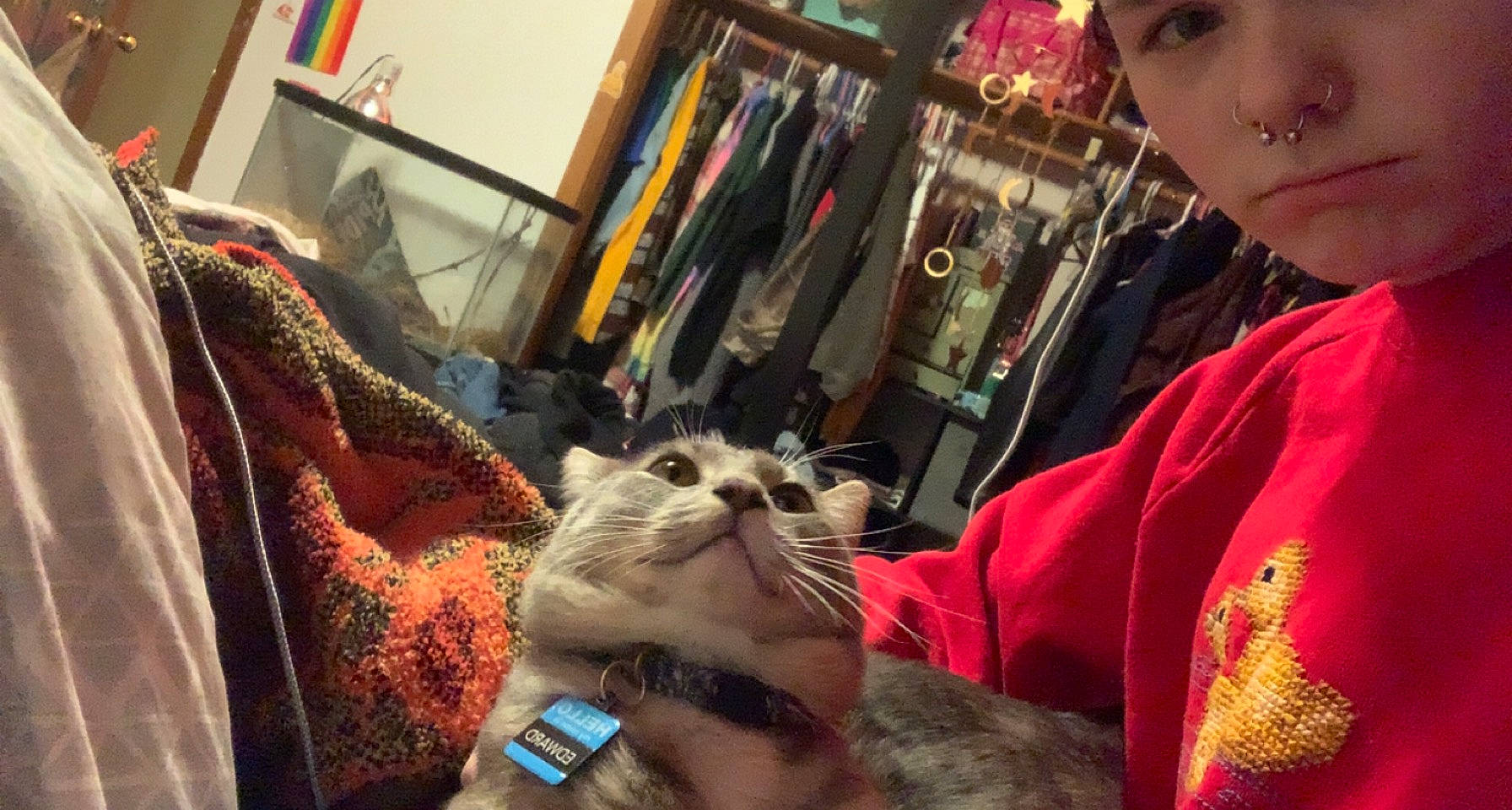 Edward is registered to the contest to win money with this photo: canidae, carnivore, cat, companion_dog, domestic_short_haired_cat, ear, event, fawn, felidae, flesh, fur, happy, human, paw, picture_frame, small_to_medium_sized_cats, textile, thai, whiskers, wildlife