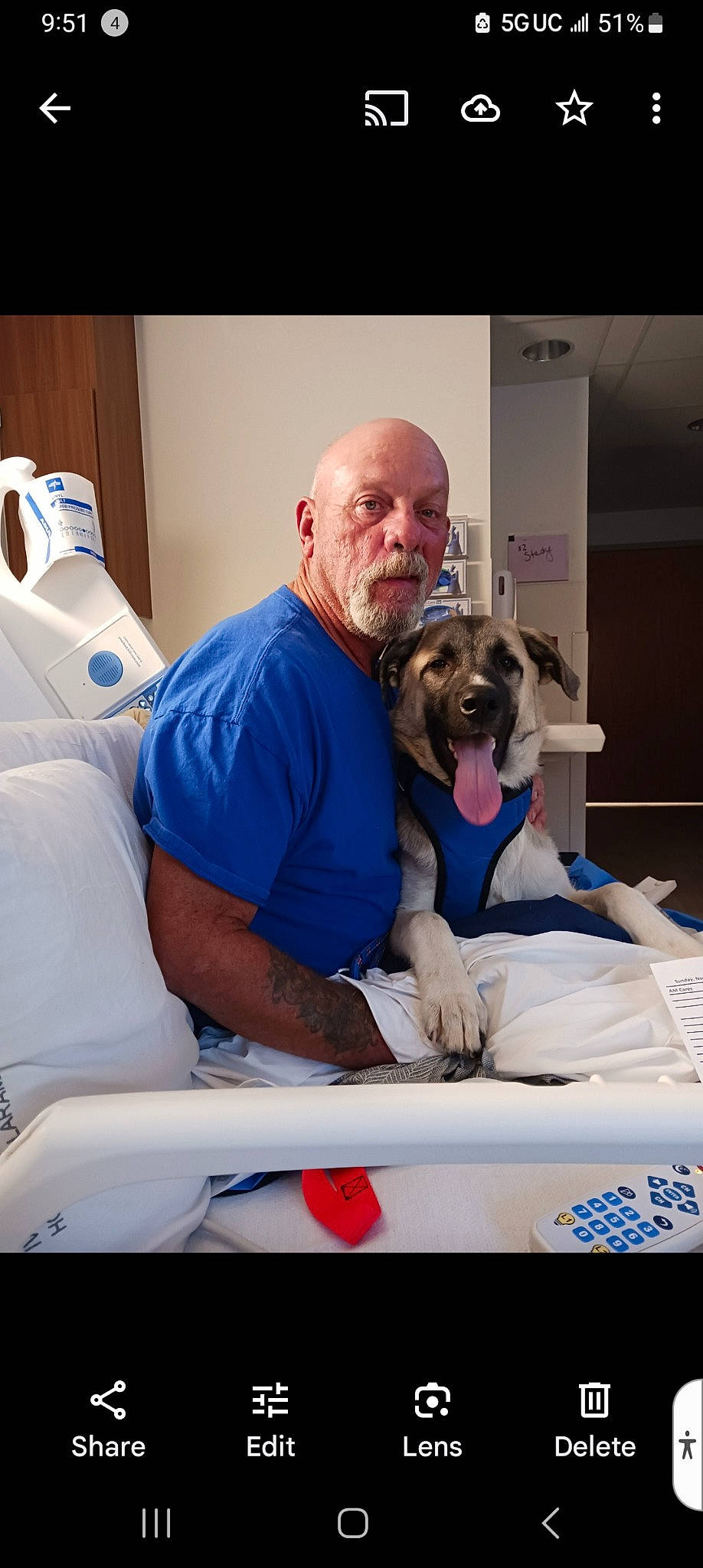 Inoki is registered to the contest to win money with this photo: canidae, carnivore, comfort, companion_dog, dog, dog_breed, fawn, guard_dog, non_sporting_group, room, service, sitting, smile, sporting_group, t_shirt, toy_dog, veterinarian, wrinkle