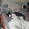 cat, bed, stuffed_animal, blanket, pillow, indoor, resting, sleeping, black_and_white_cat, plush, cozy, furniture, soft, home, animal, pet, cute, relaxing, sleep, comfort