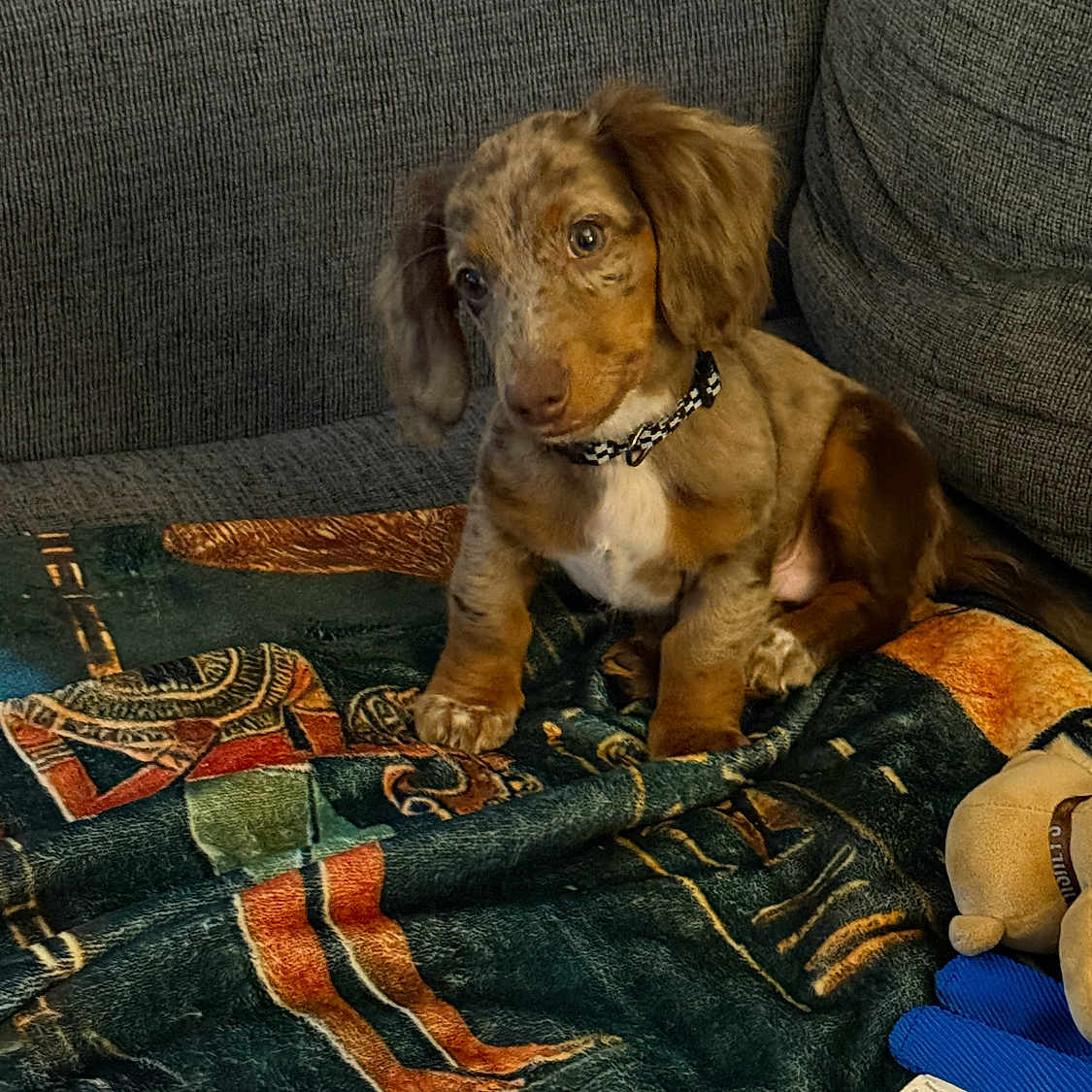 Rusty