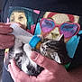 Eren participe au concours pour gagner de l'argent avec cette photo : animal_care, baby_animal, bottle_feeding, cat, closeup, colorful_clothing, cute, domestic_animal, feeding, feline, fur, hand, human_hand, indoor, kitten, person, portrait, small_pet, tshirt, young_animal