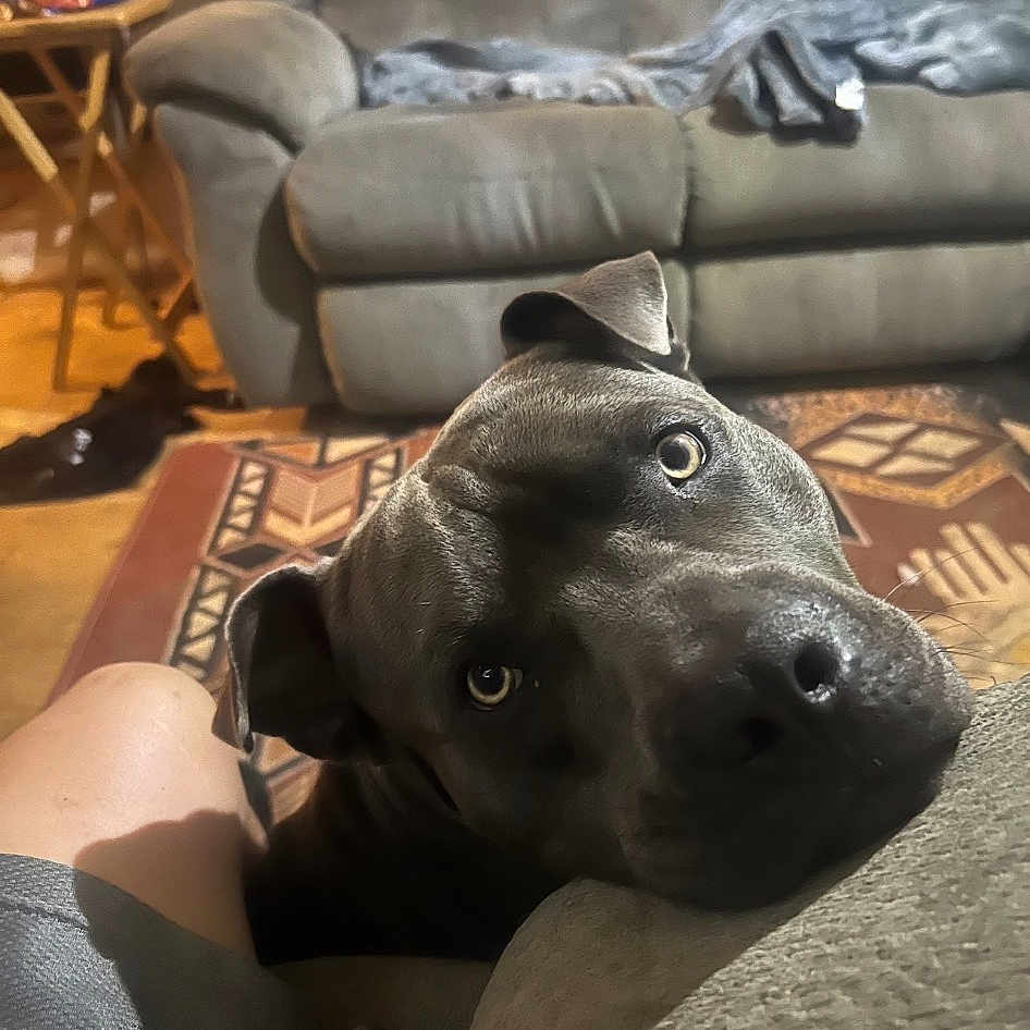 Tank