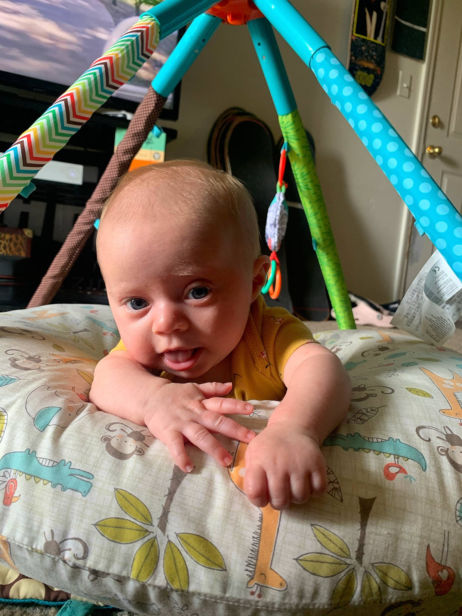 Indie joined the competition — help win amazing prizes! baby, baby_toddler_clothing, cheek, child, chin, eye, fun, grass, green, hair, happy, head, human_body, leisure, person, photograph, product, skin, toddler, tree