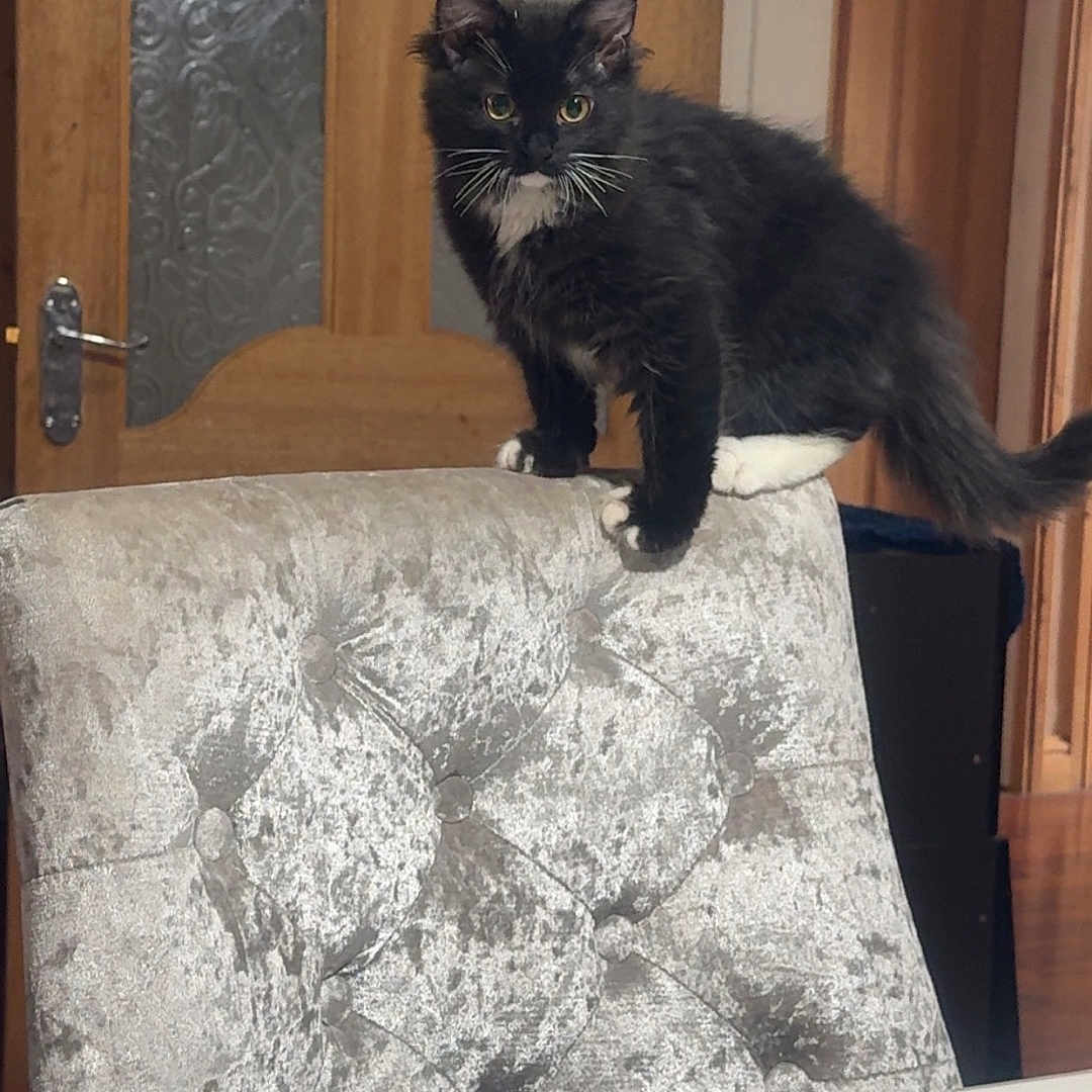 Luna
