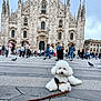 Ulaf a rejoint le concours — aidez-le/la à gagner de superbes lots ! dog, white_dog, poodle, plaza, cathedral, architecture, people, crowd, pigeons, stone_floor, urban, outdoor, daylight, leash, tourists, historic_building, sky, travel, landmark, city