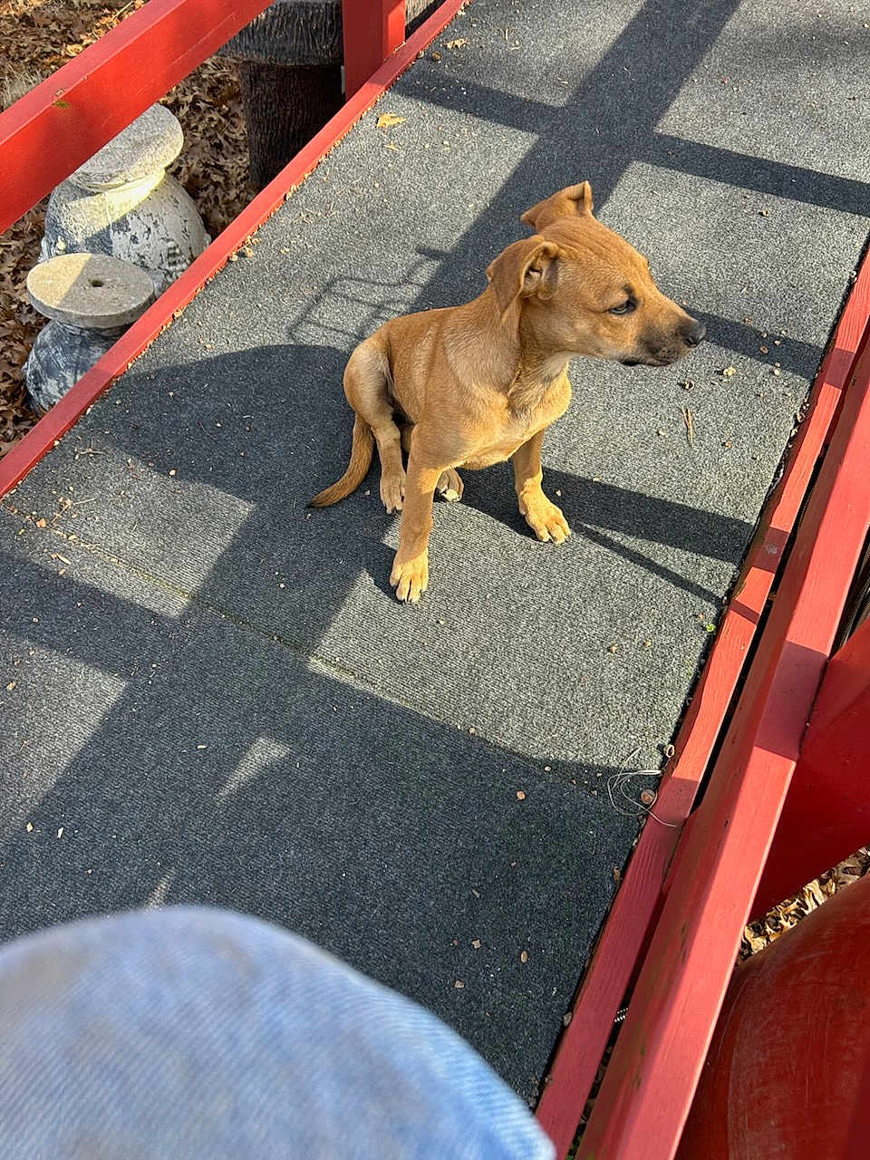Ember