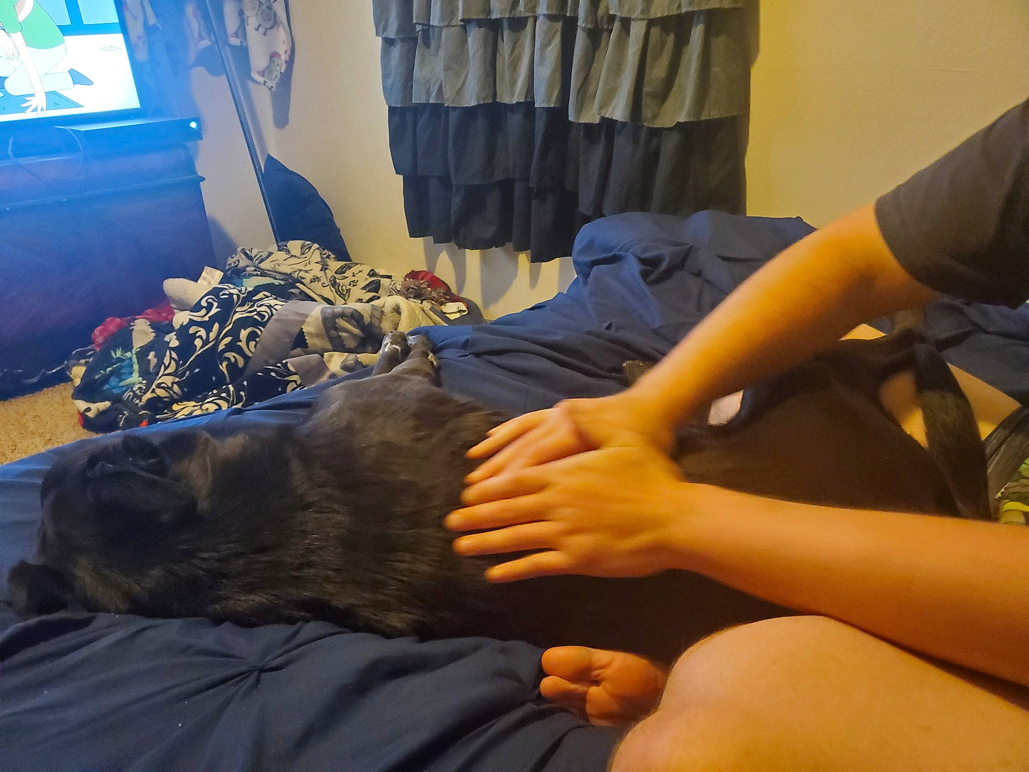 Laroo is registered to the contest to win money with this photo: arm, hand, joint, leg, wrist