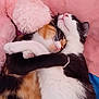 cat, cats, calico_cat, black_and_white_cat, snuggling, cuddling, pet, animal, feline, sleeping, soft, plush, blanket, pink, cute, cozy, companion, affection, closeup, domestic_animal