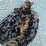 cat, tabby_cat, animal, pet, fur, striped, leopard_print, sweater, fabric, bedspread, leaf_pattern, indoor, resting, cute, cozy, relaxed, whiskers, ears, paws, lying_down