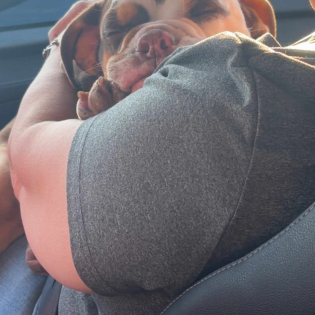 Gus Gus