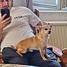 Nougat participe au concours pour gagner de l'argent avec cette photo : man, dog, chihuahua, phone, chair, indoor, window, curtain, radiator, table, casual, sitting, pet, relaxed, furniture, light, home, portrait, animal, person