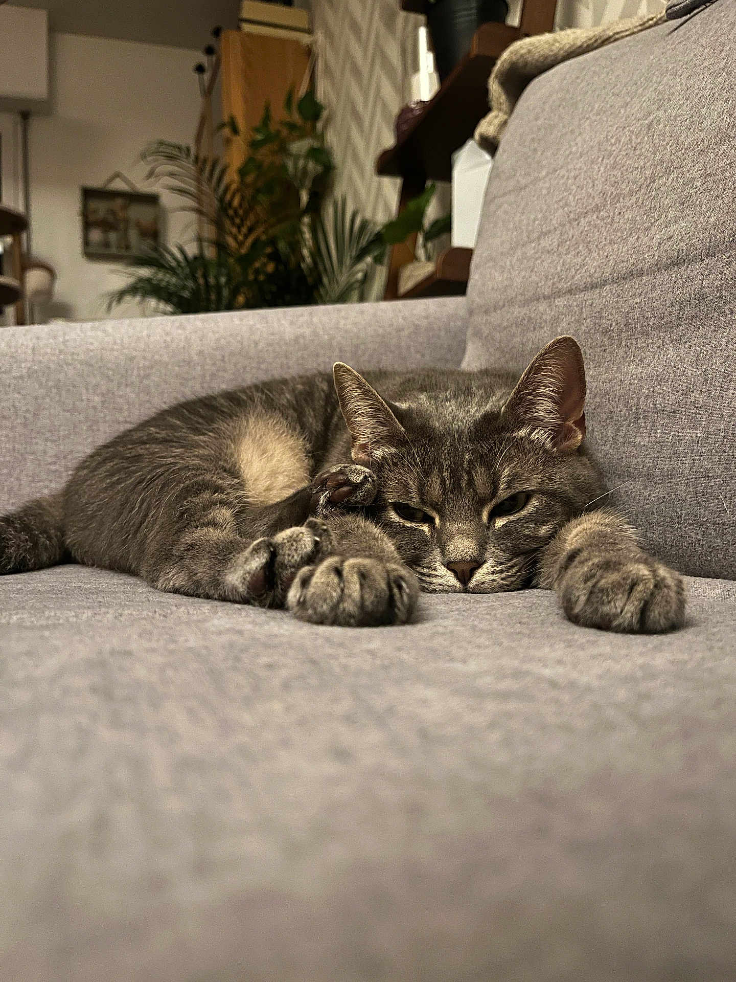 Lili