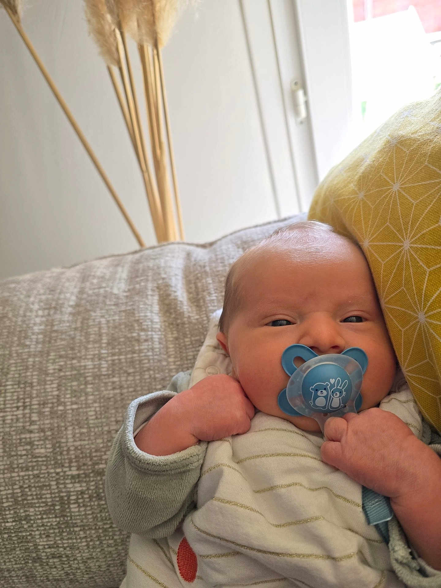 Arthur a rejoint le concours — aidez-le/la à gagner de superbes lots ! baby, newborn, pacifier, blue, couch, pillow, yellow, close_up, infant, hand, face, cute, cozy, indoor, soft_light, pattern, clothing, relaxing, child, resting