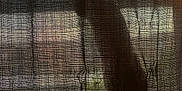Jon Snow joined the competition — help win amazing prizes! animal, cat, curtain, dark, ears, fabric, home, indoor, light, mystery, pet, quiet, shadow, shadow_play, silhouette, soft_light, still_life, stretching, texture, window