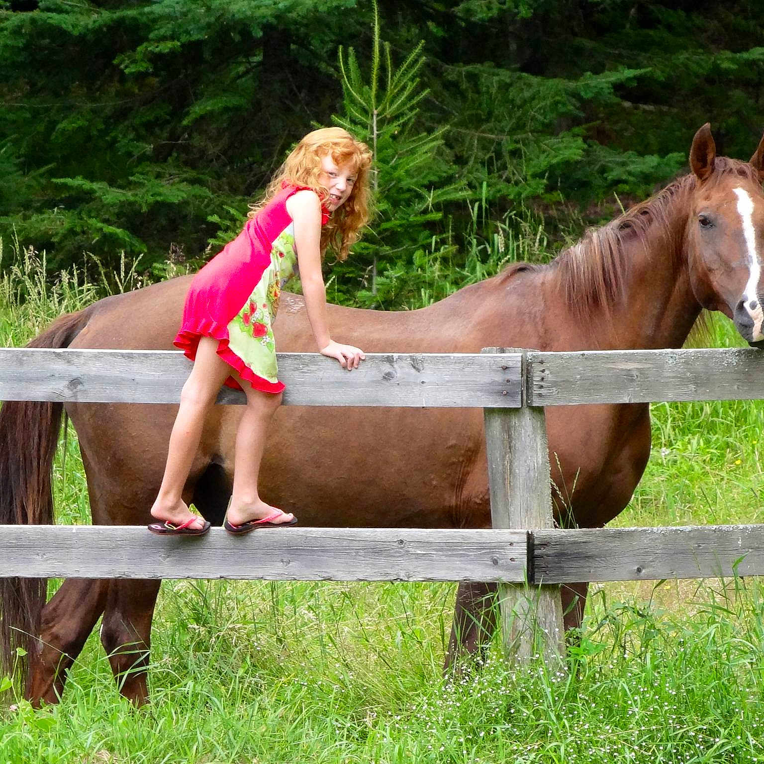 Topaz is registered to the contest to win money with this photo: