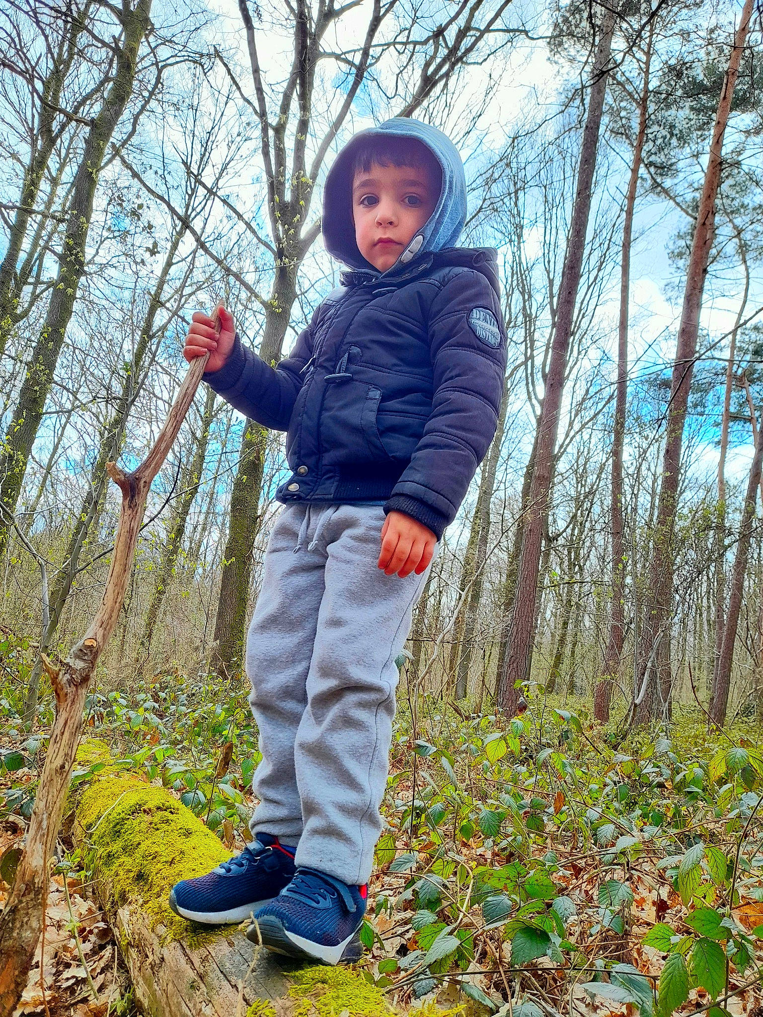 Sofiane a rejoint le concours — aidez-le/la à gagner de superbes lots ! branch, deciduous, electric_blue, forest, grass, happy, leisure, natural_environment, natural_landscape, people_in_nature, person, plant, recreation, sky, spring, toddler, tree, twig, wood, woodland