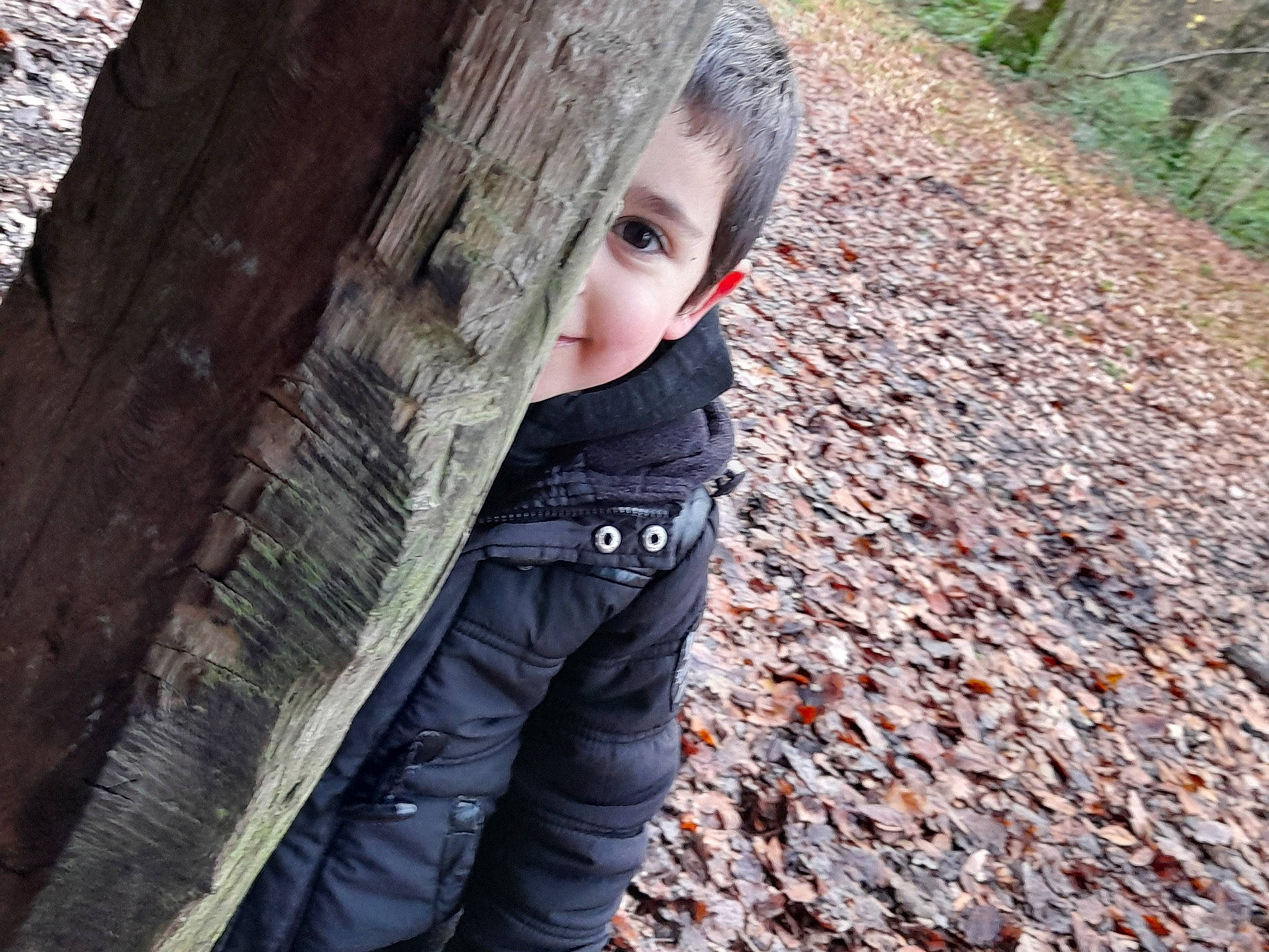 Sofiane participe au concours pour gagner de l'argent avec cette photo : blond, botany, branch, denim, doll, forest, grass, jacket, leg, outerwear, people_in_nature, person, plant, rock, toddler, toy, tree, trunk, wood, woodland