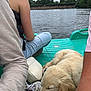 Milo a rejoint le concours — aidez-le/la à gagner de superbes lots ! dog, puppy, boat, water, lake, people, casual_clothing, shoes, relaxing, outdoor, nature, cloudy_sky, trees, leash, resting, light_fur, summer, friends, calm, scenic