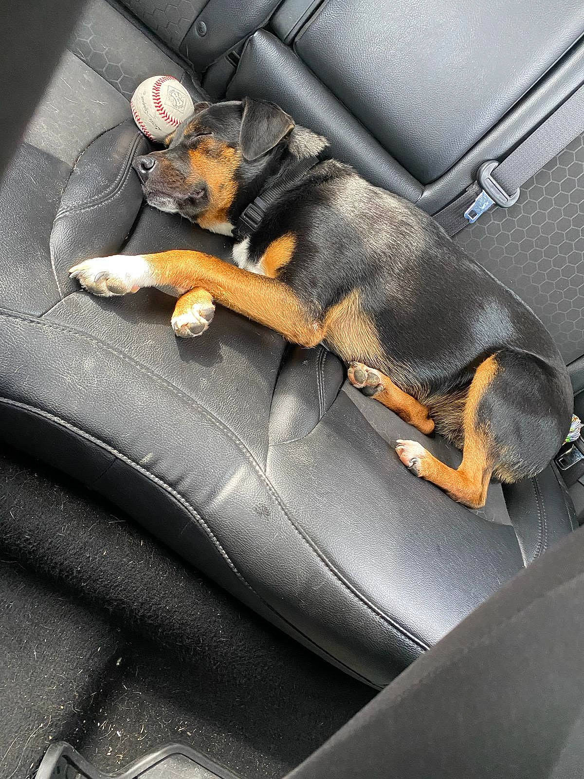 Issac joined the competition — help win amazing prizes! armrest, auto_part, automotive_design, automotive_exterior, automotive_tire, automotive_wheel_system, car_seat, car_seat_cover, carbon, comfort, family_car, grey, metal, motor_vehicle, personal_luxury_car, rim, steering_part, steering_wheel, tints_and_shades, vehicle_door