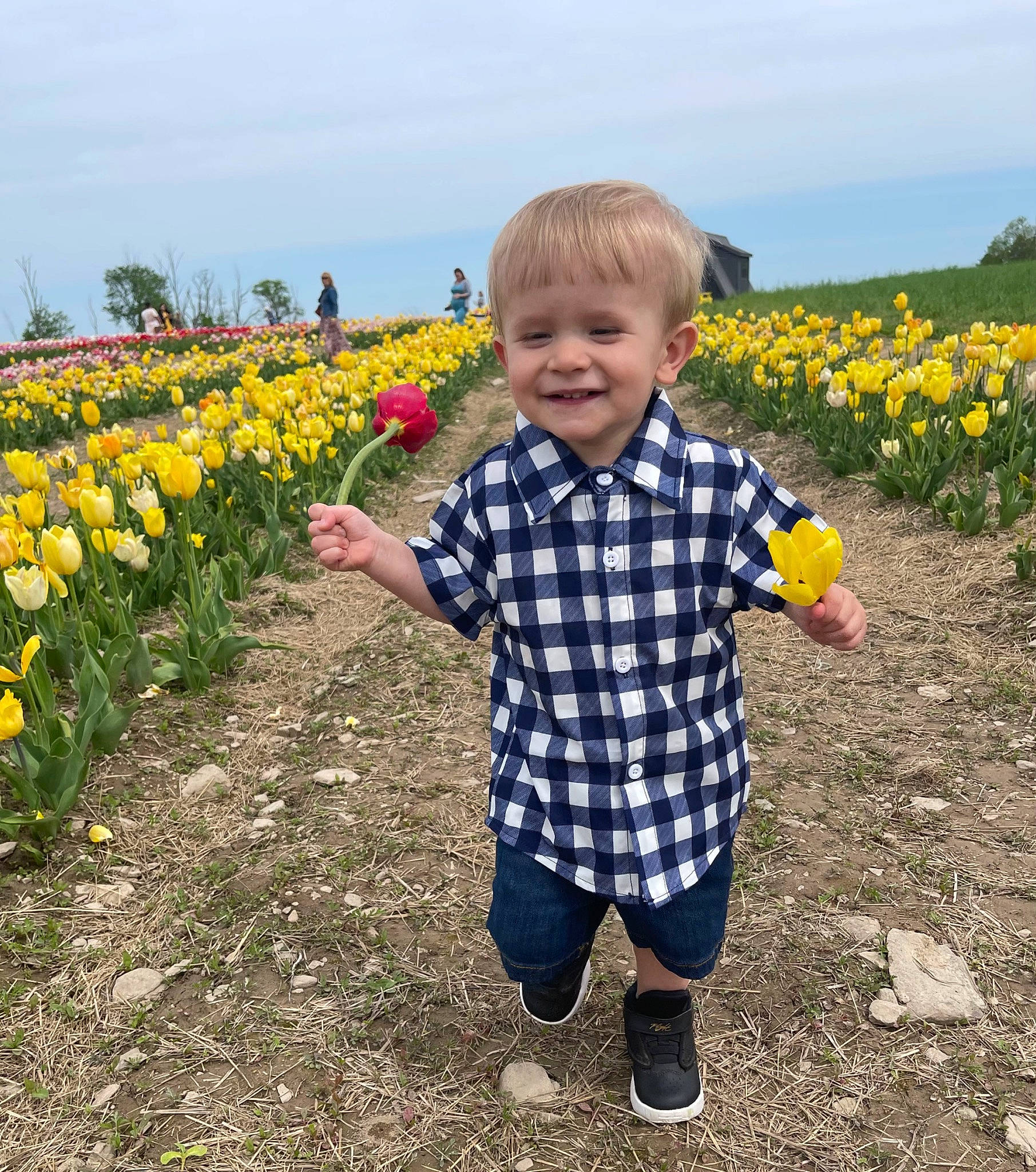 Morgan joined the competition — help win amazing prizes! agriculture, annual_plant, child, cloud, ecoregion, field, flower, flowering_plant, grass, grassland, happy, joy, landscape, meadow, people_in_nature, person, petal, plant, prairie, sky