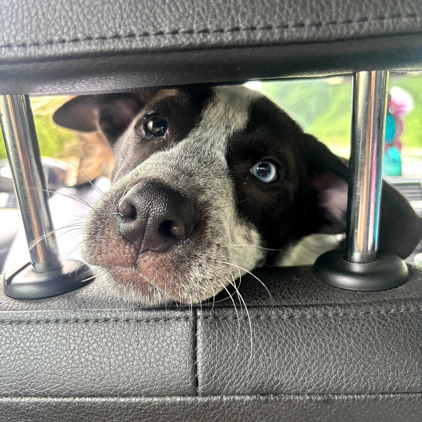 Benny