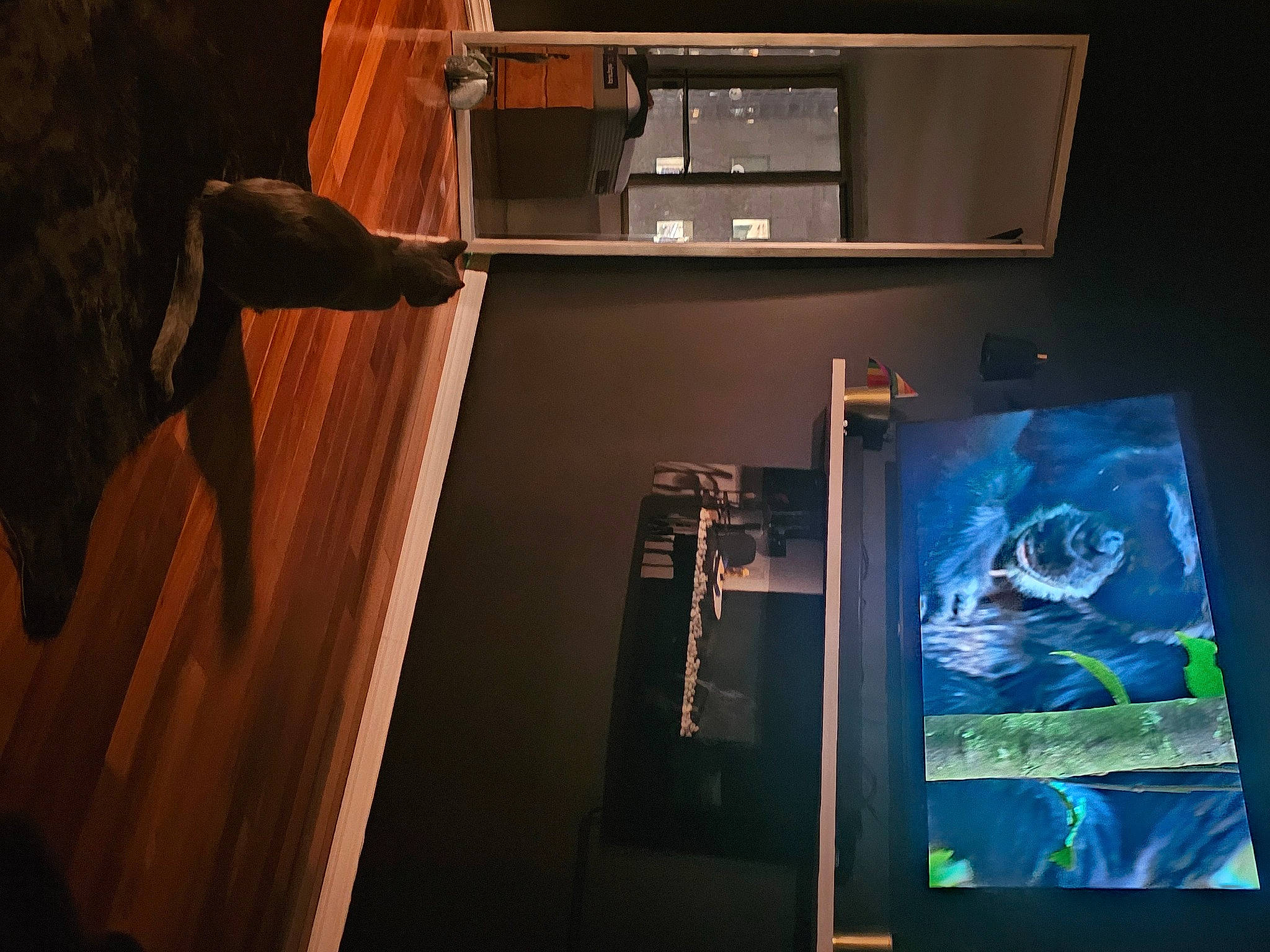 Che joined the competition — help win amazing prizes! cabinetry, darkness, display_device, door, electric_blue, entertainment, flat_panel_display, flooring, gadget, hardwood, lighting, machine, multimedia, room, space, stairs, table, visual_arts, wood, wood_stain