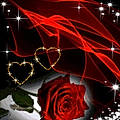 Delphine T. D.