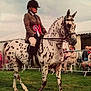 Picasso is registered to the contest to win money with this photo: