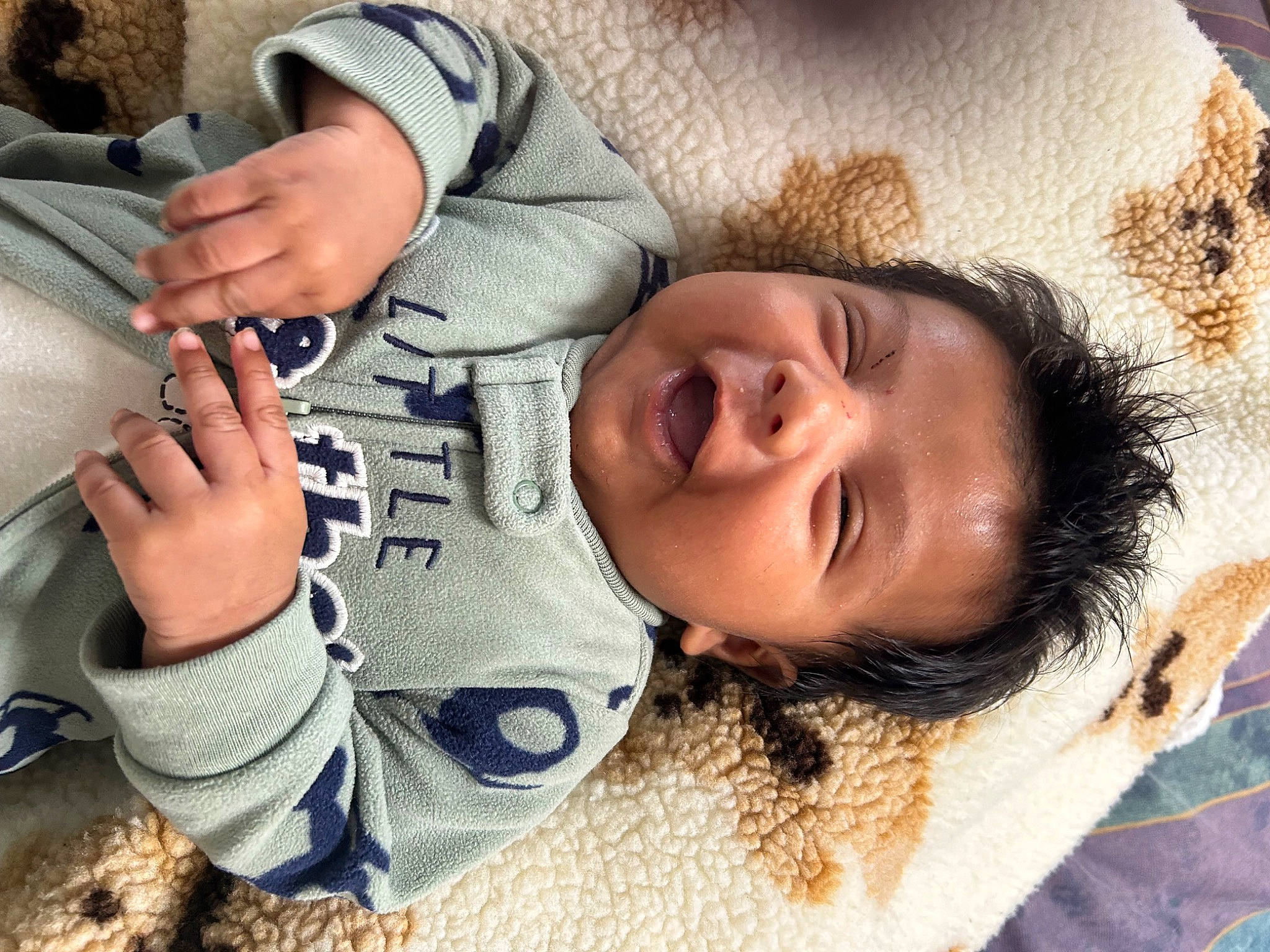 Alfredo joined the competition — help win amazing prizes! arm, comfort, eyelash, face, finger, gesture, hair, hand, happy, head, human_body, leg, mouth, neck, nose, person, plant, skin, smile, toddler