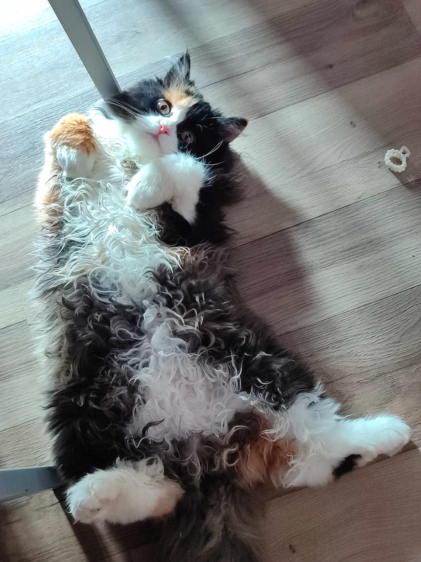 Yumi