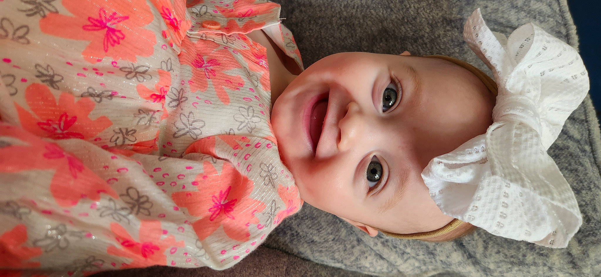 Ava joined the competition — help win amazing prizes! cheek, chin, dress, eyebrow, eyelash, face, facial_expression, forehead, happy, iris, joy, lip, mouth, neck, nose, person, plant, skin, smile, tree