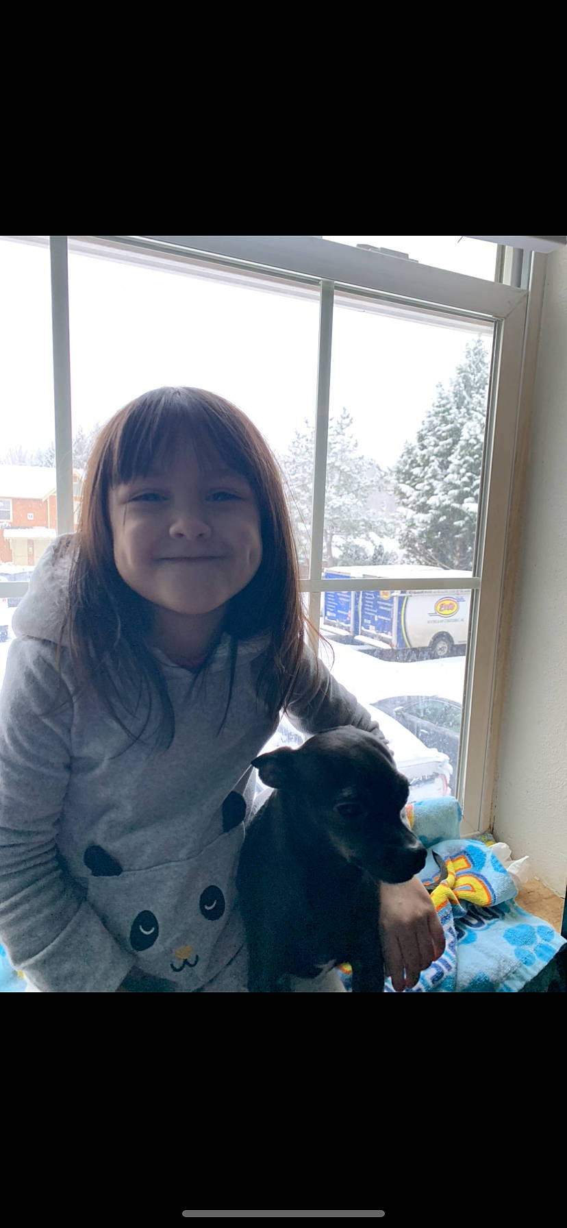 Lena is registered to the contest to win money with this photo: bangs, black_hair, brown_hair, carnivore, child, companion_dog, dog_breed, freezing, fun, fur, happy, hoodie, joy, person, room, sitting, smile, snow, toy, tree