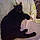 Shadow