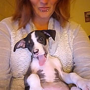 Baby is registered to the contest to win money with this photo: animal, close_up, cuddly, cute, dog, face, friendship, fun, happy, holding, indoor, person, pet, portrait, puppy, relaxed, smiling, sweater, tongue_out, warm_lighting