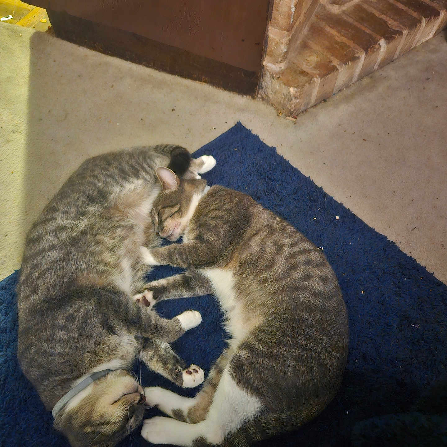John And Bruce
